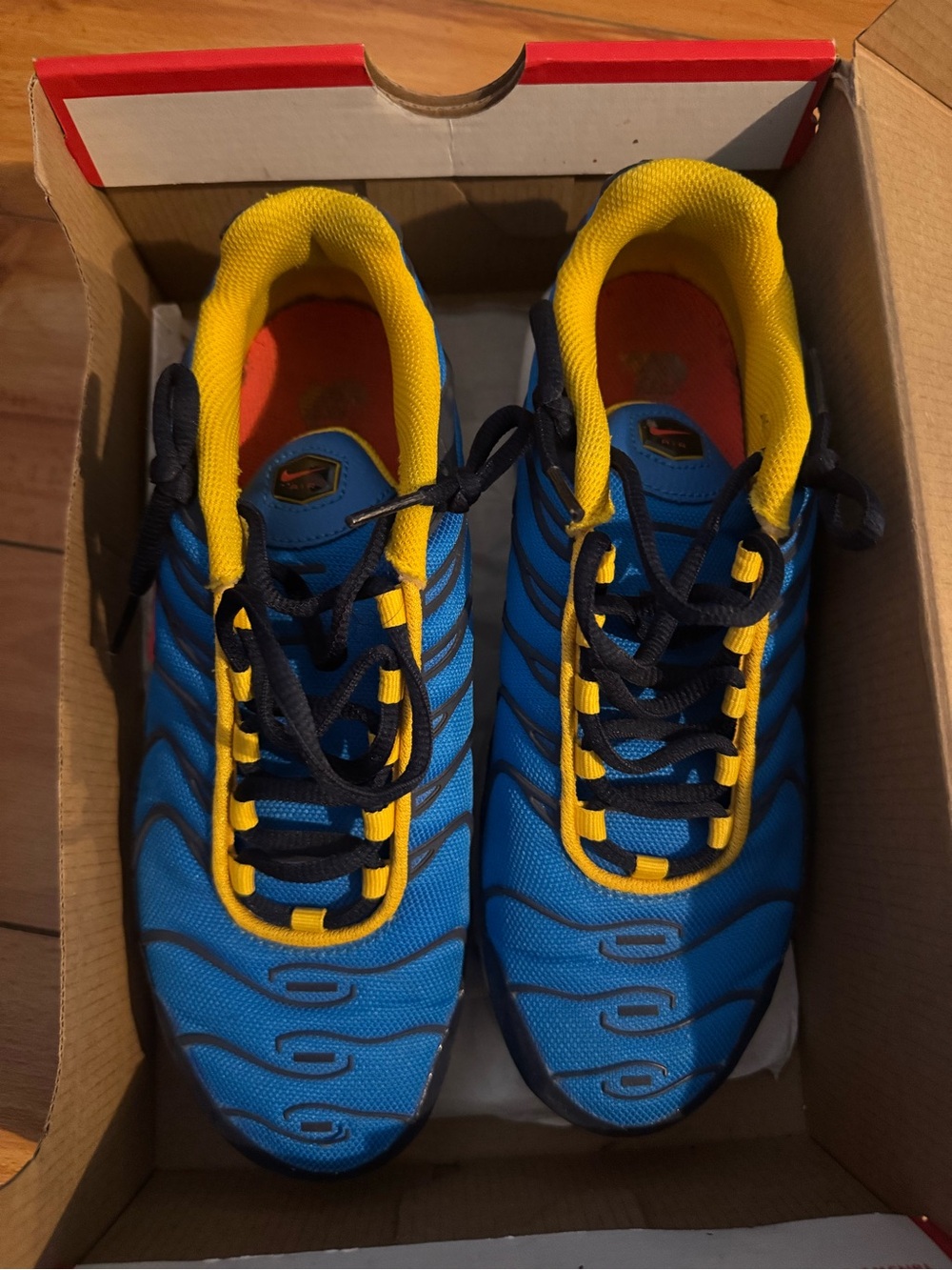 Nike Blue and Yellow TN’s